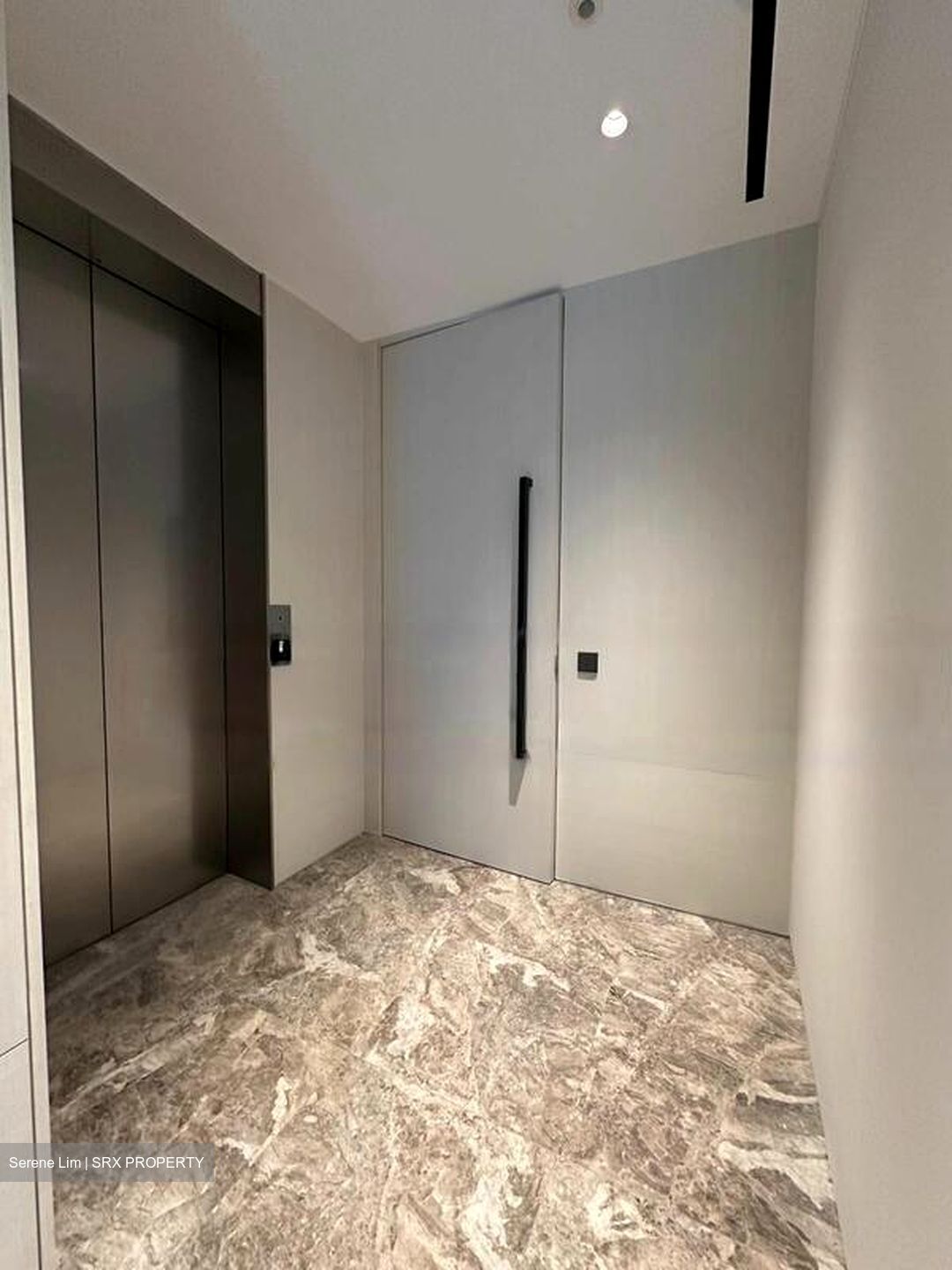 Cuscaden Reserve (D10), Condominium #587766061